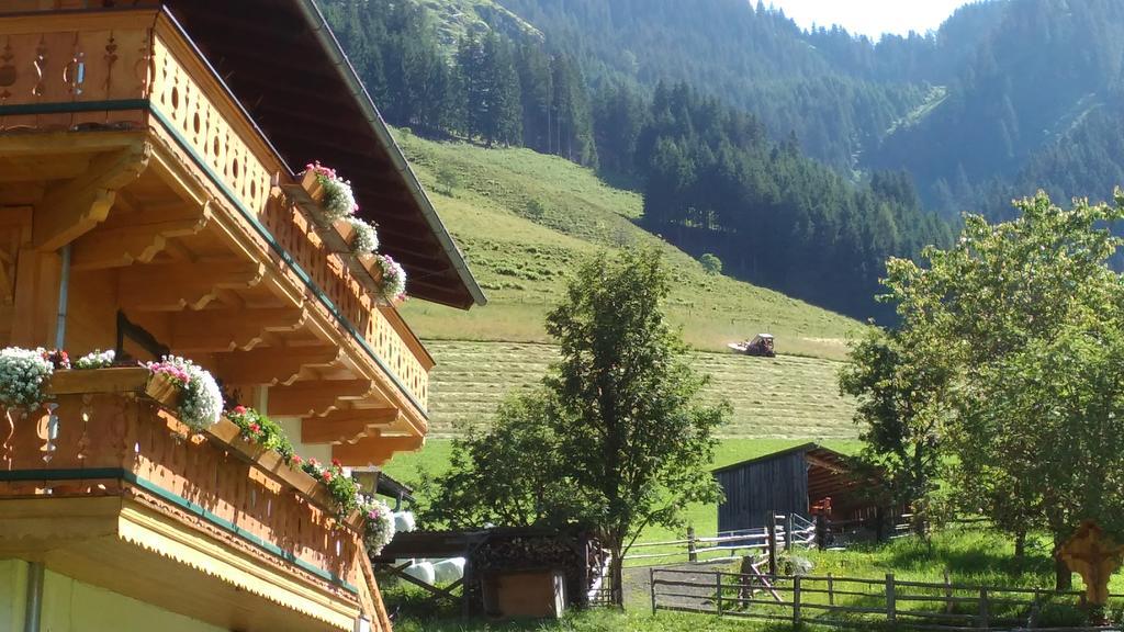Appartamento Biobergbauernhof Brandenau Taxenbach Esterno foto