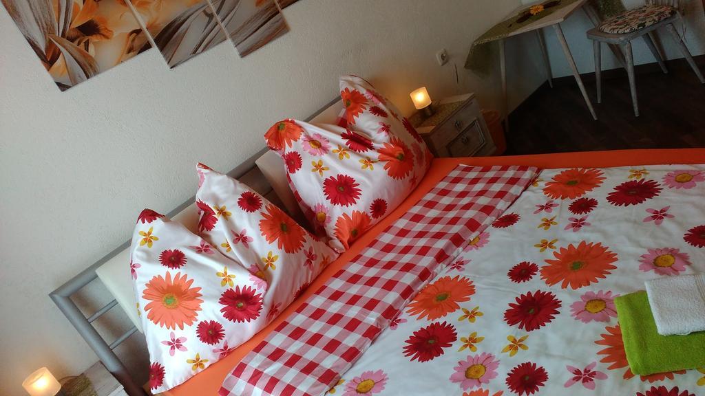 Appartamento Biobergbauernhof Brandenau Taxenbach Esterno foto