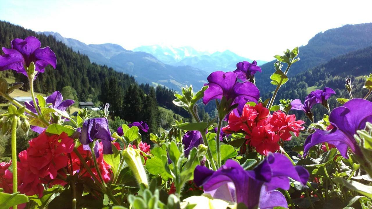 Appartamento Biobergbauernhof Brandenau Taxenbach Esterno foto
