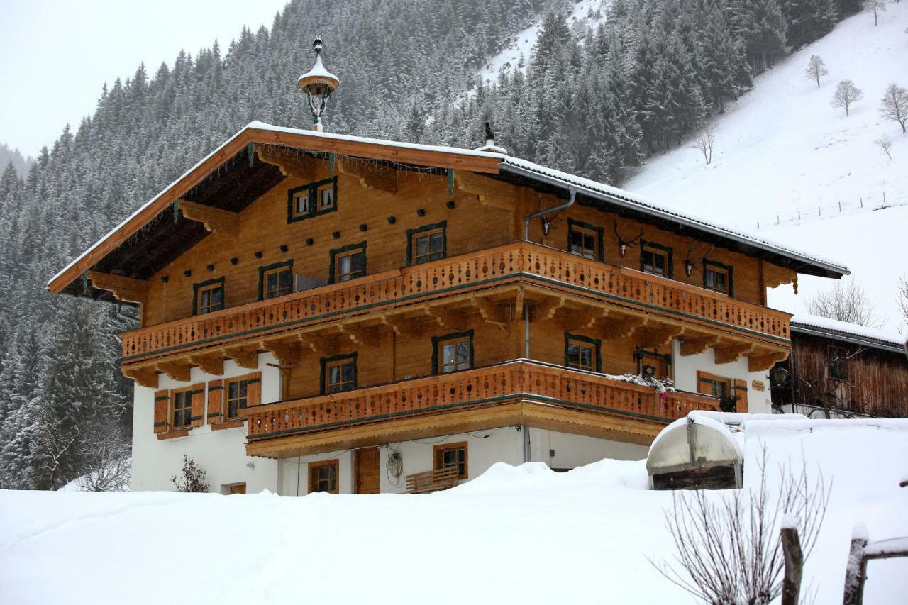 Appartamento Biobergbauernhof Brandenau Taxenbach Esterno foto