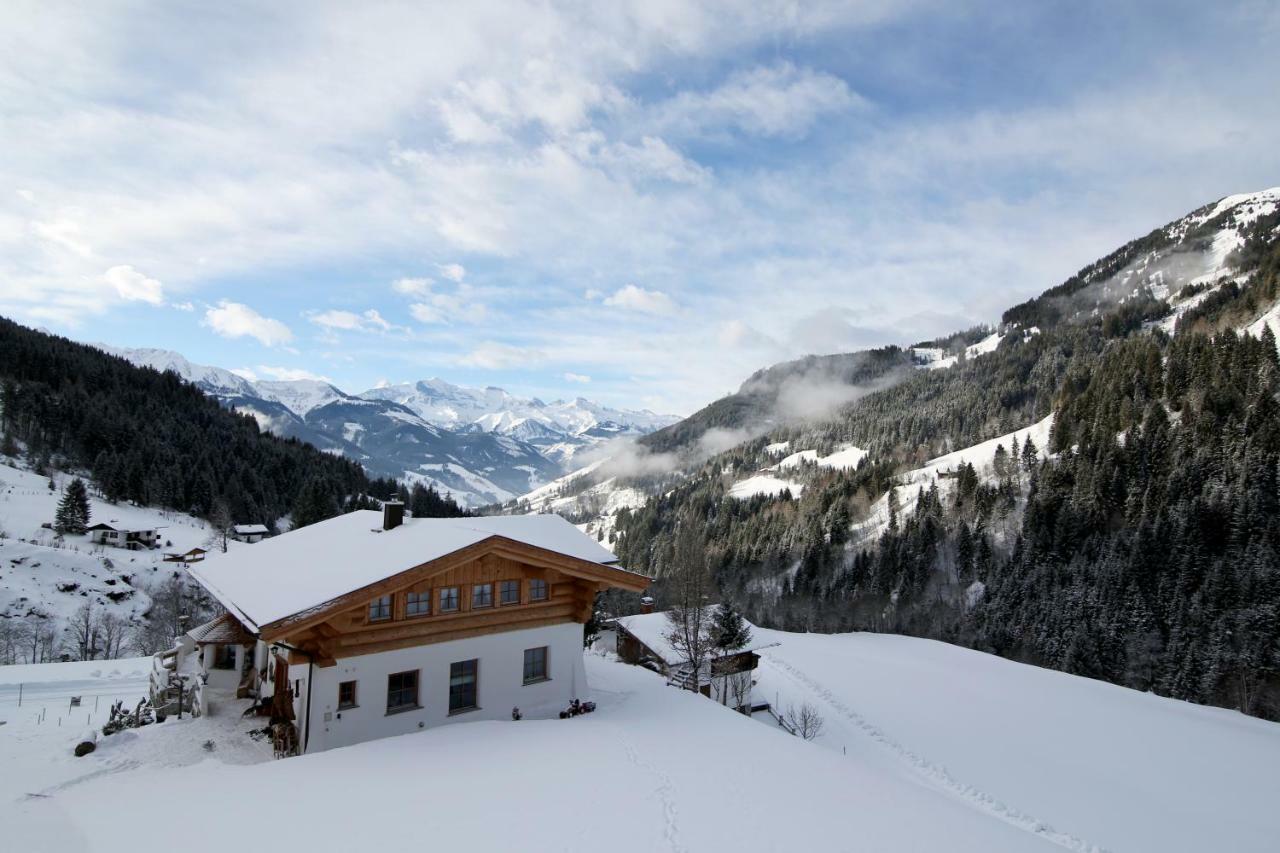 Appartamento Biobergbauernhof Brandenau Taxenbach Esterno foto
