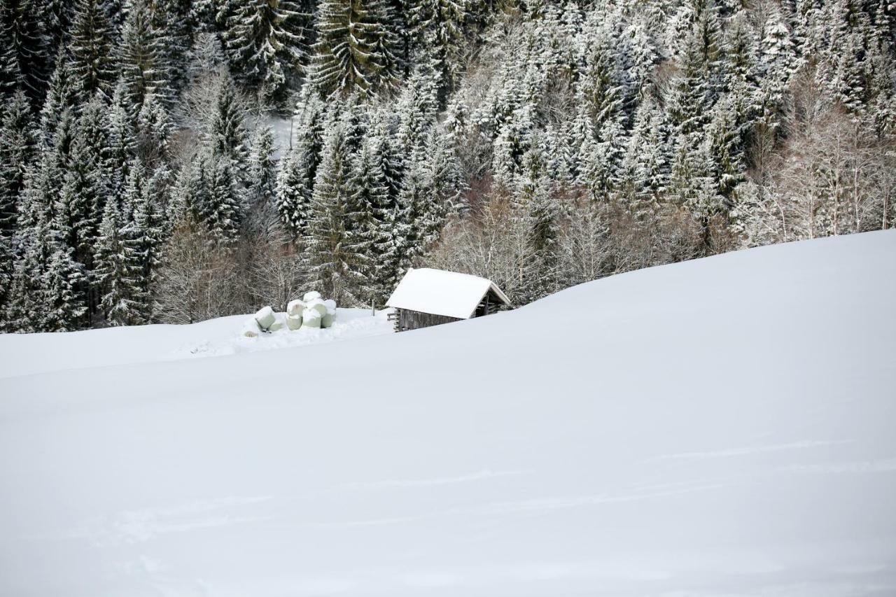 Appartamento Biobergbauernhof Brandenau Taxenbach Esterno foto